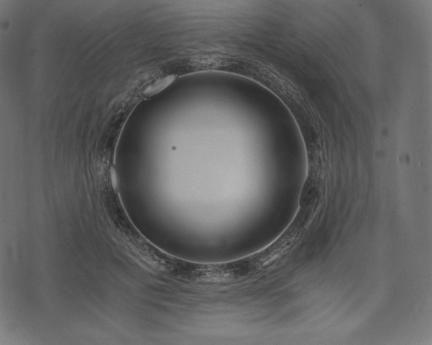 X0000073860601200608170944