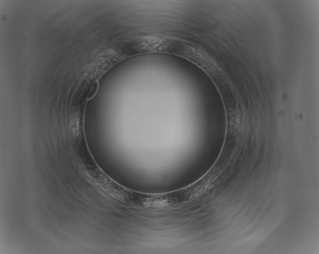 X0000073860602200608170944