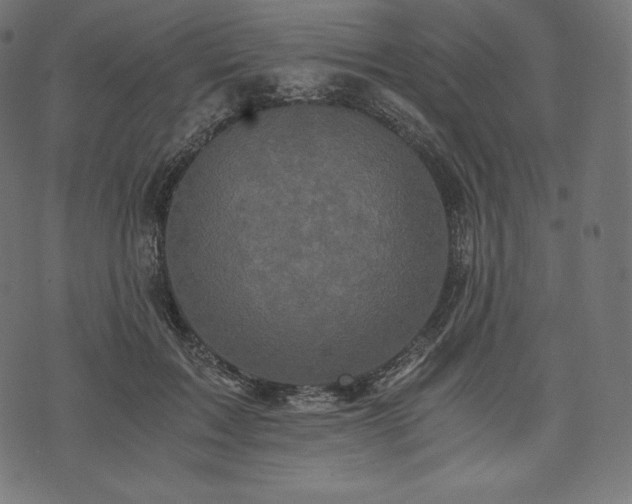 X0000073860603200608170944