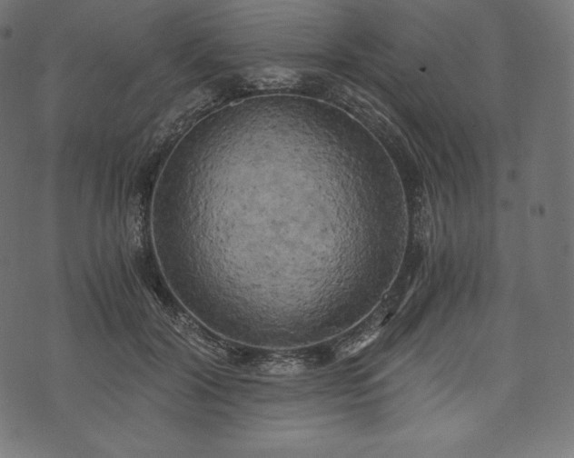 X0000073860604200608170944