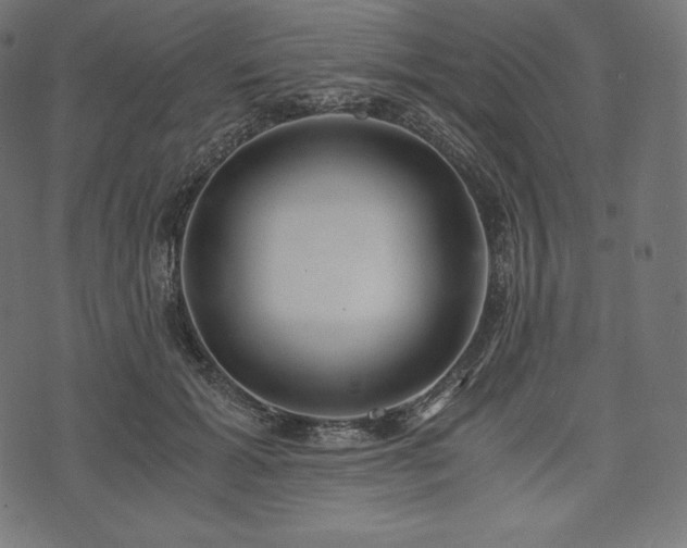 X0000073860605200608170944