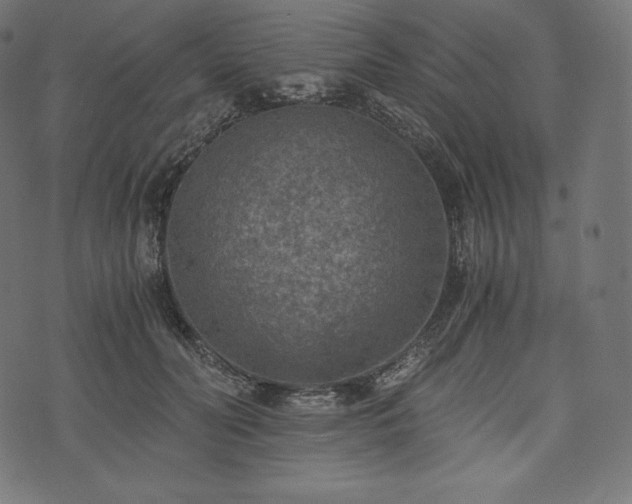 X0000073860606200608170944