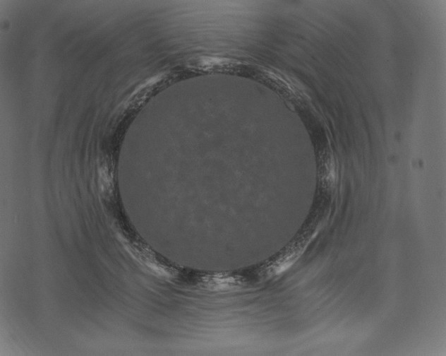 X0000073860607200608170944