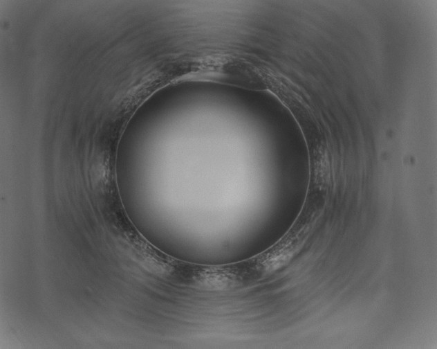 X0000073860608200608170944