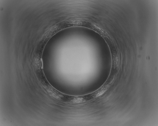 X0000073860609200608170944