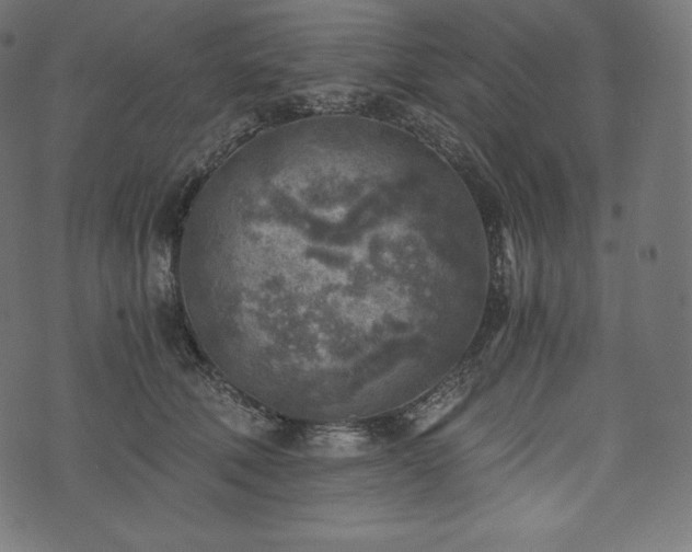 X0000073860610200608170944