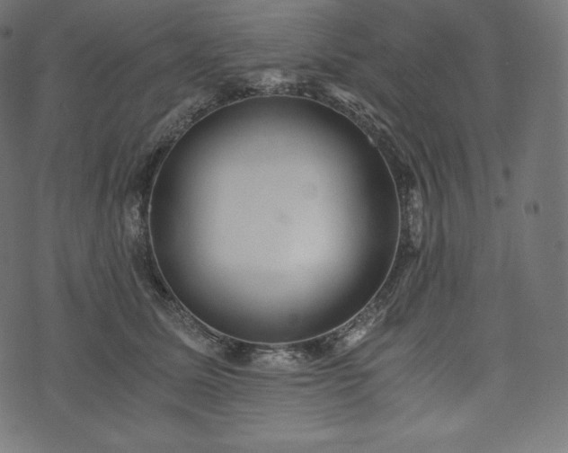 X0000073860611200608170944