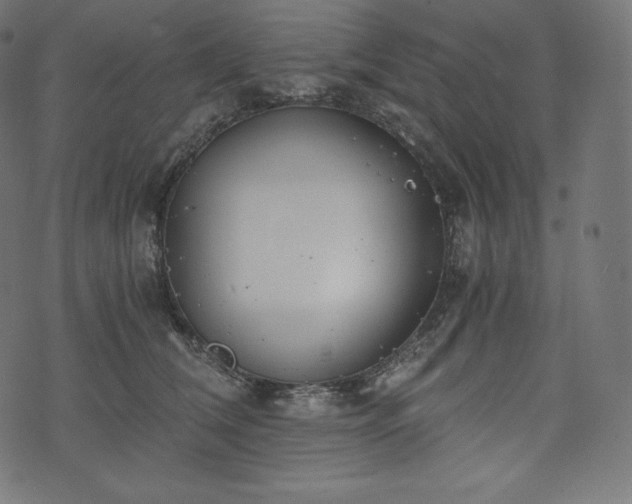 X0000073860612200608170944