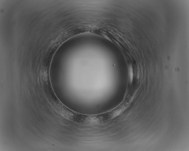 X0000073860613200608170944