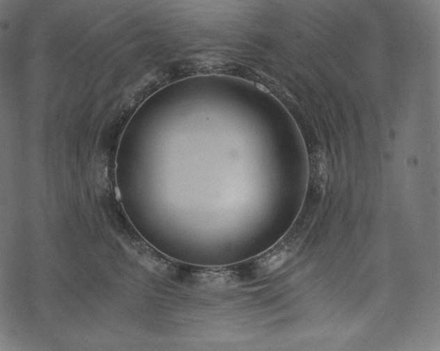 X0000073860615200608170944