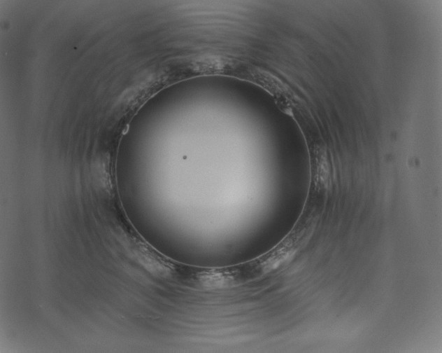 X0000073860616200608170944