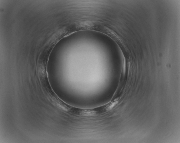 X0000073860617200608170944