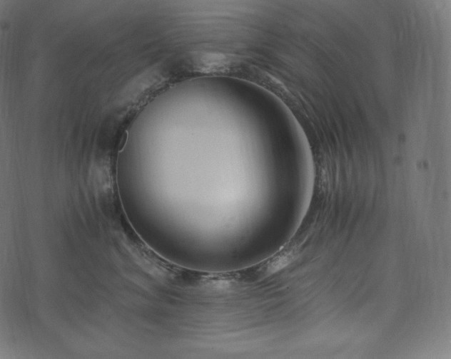 X0000073860620200608170944