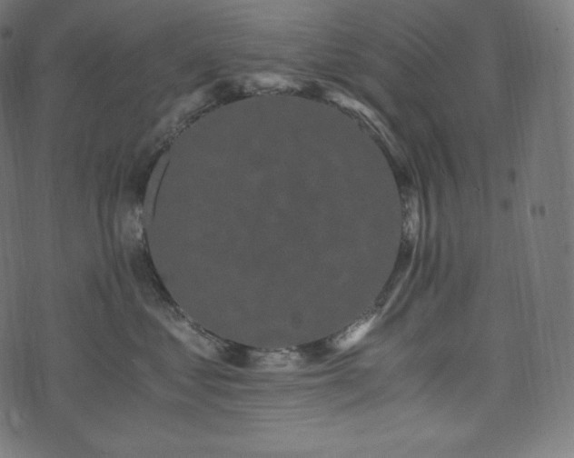 X0000073860621200608170944