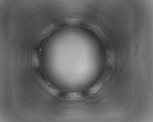 X0000073860622200608170944