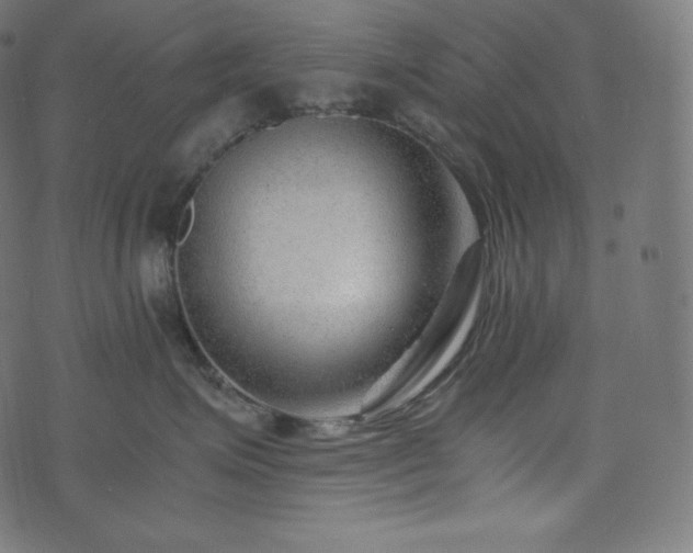 X0000073860623200608170944