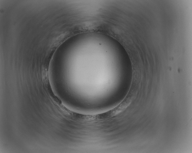 X0000073860624200608170944