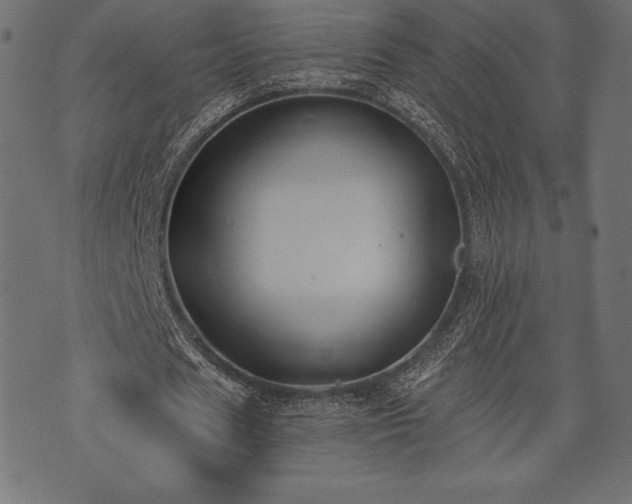 X0000073860625200608170943