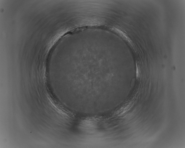 X0000073860627200608170943