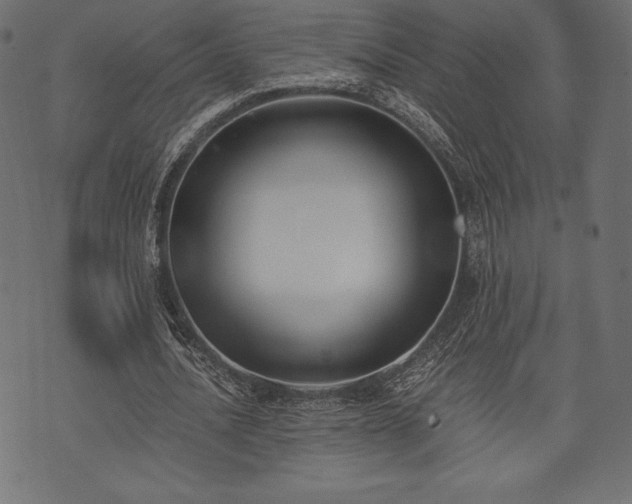 X0000073860628200608170943