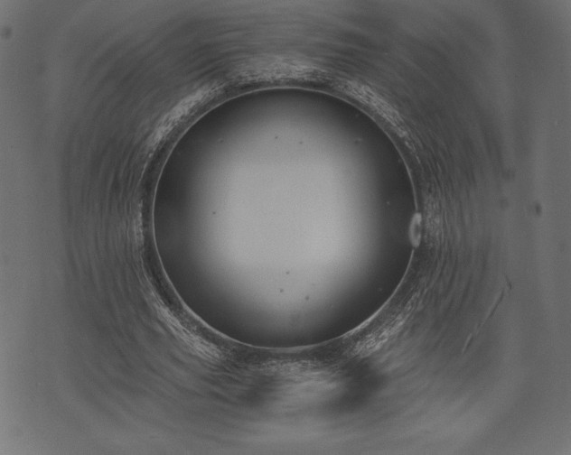 X0000073860629200608170943