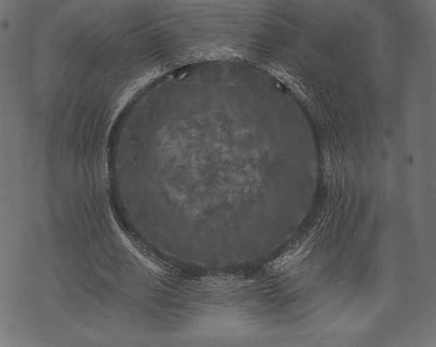 X0000073860630200608170943