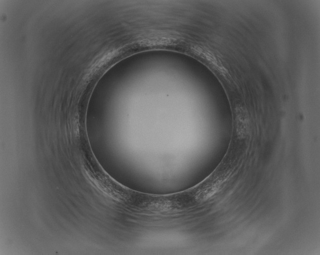 X0000073860631200608170943