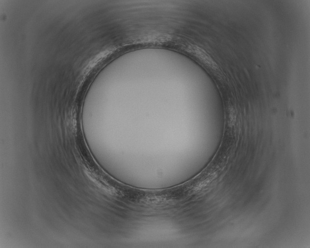 X0000073860632200608170943