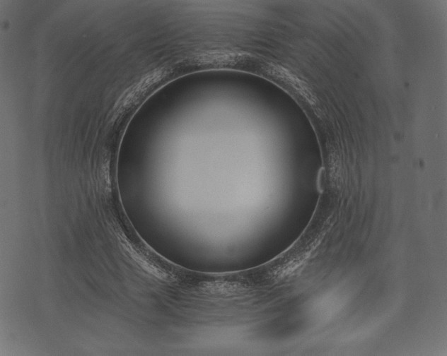 X0000073860633200608170943