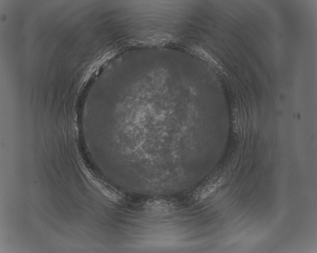 X0000073860634200608170943