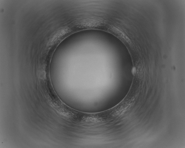 X0000073860635200608170943