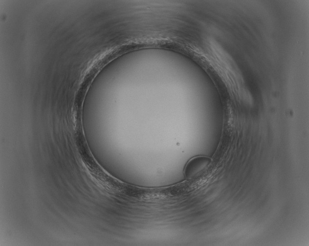 X0000073860636200608170943