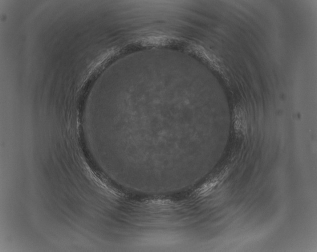 X0000073860637200608170943