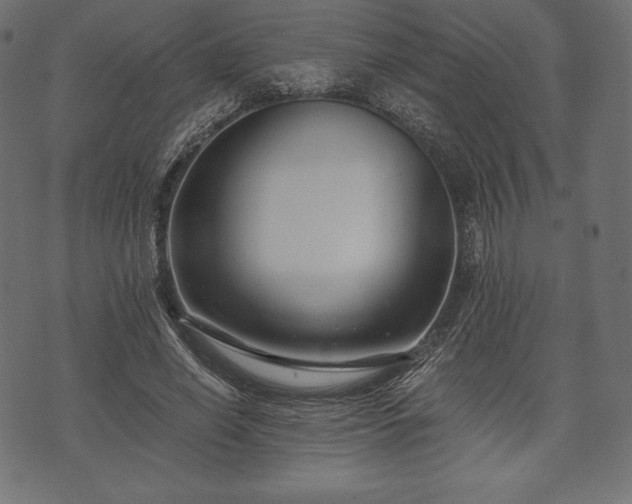 X0000073860638200608170943