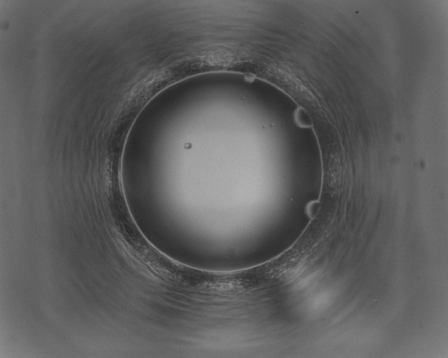 X0000073860639200608170943