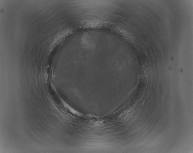 X0000073860640200608170943