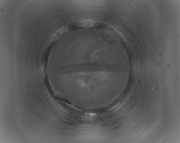 X0000073860641200608170943