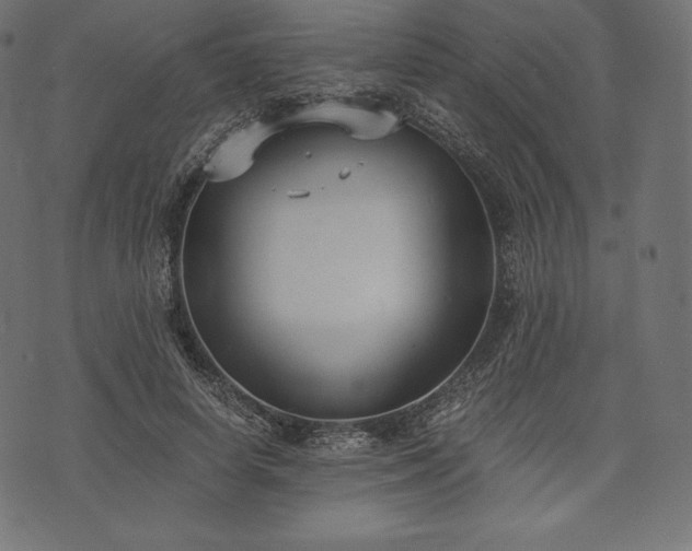 X0000073860642200608170943