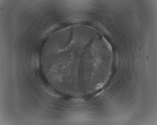 X0000073860644200608170943