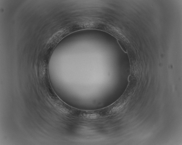 X0000073860645200608170943