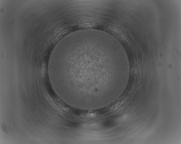 X0000073860647200608170943