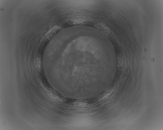 X0000073860648200608170943