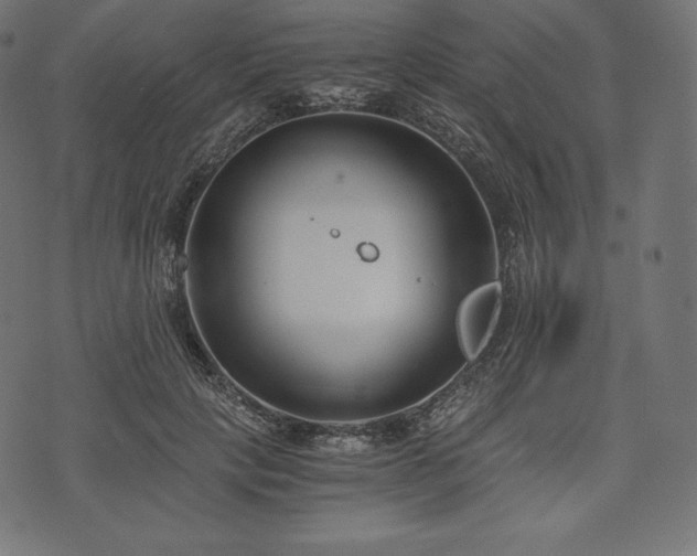 X0000073860649200608170943