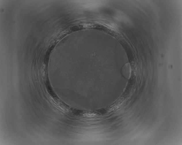 X0000073860650200608170943