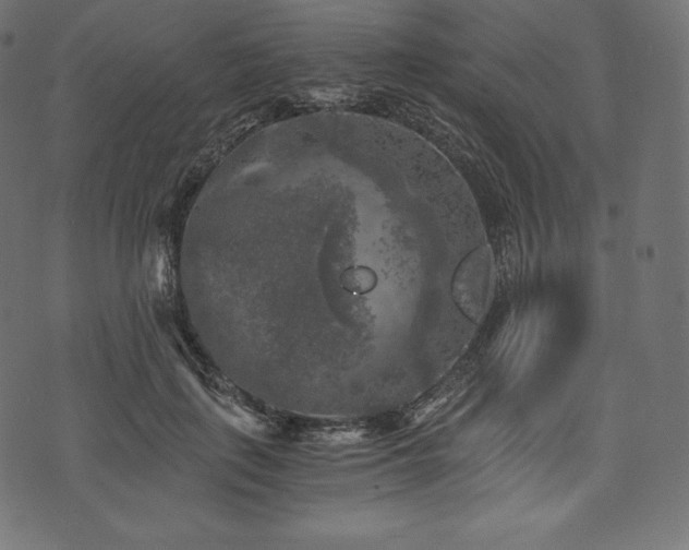 X0000073860651200608170943