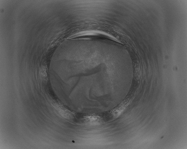 X0000073860654200608170943