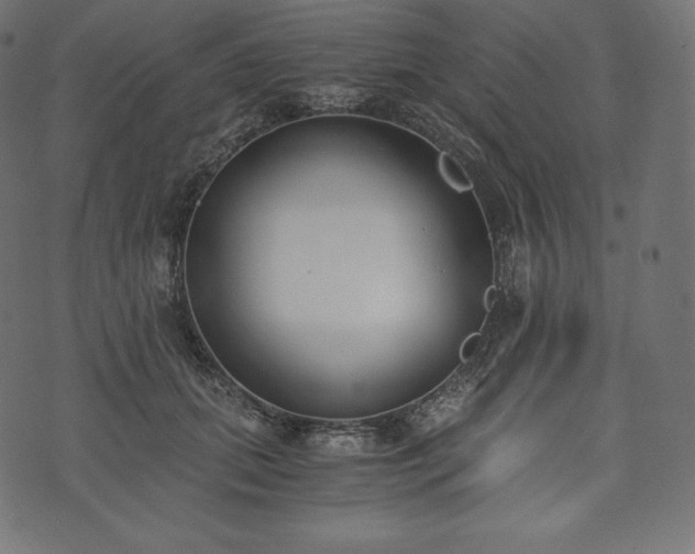 X0000073860655200608170943