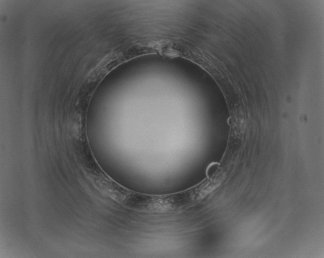 X0000073860656200608170943