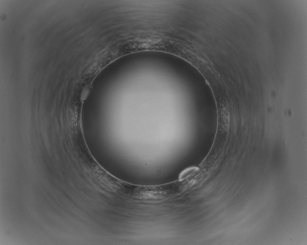 X0000073860657200608170943