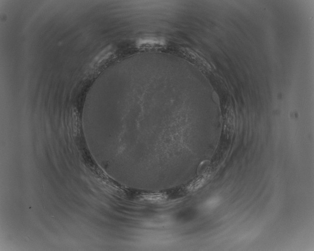 X0000073860659200608170943